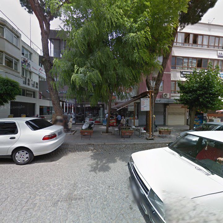 Fotoğraf 11