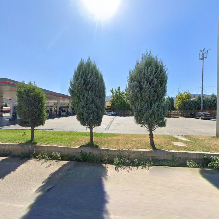 Fotoğraf 7