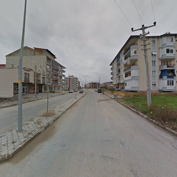 Fotoğraf 7
