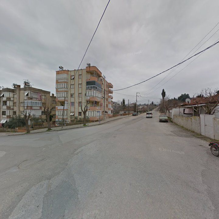 Fotoğraf 6