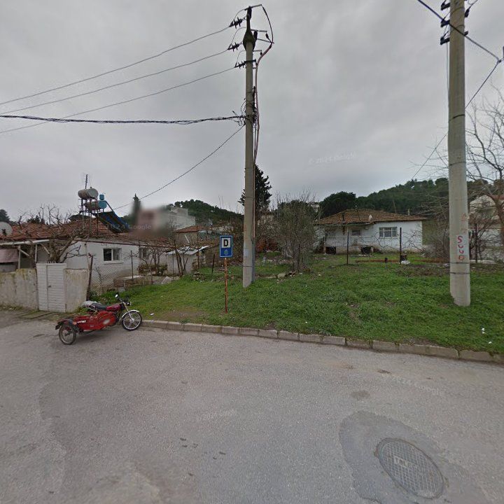 Fotoğraf 3