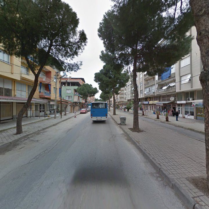 Fotoğraf 7