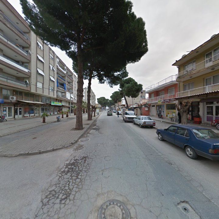 Fotoğraf 9