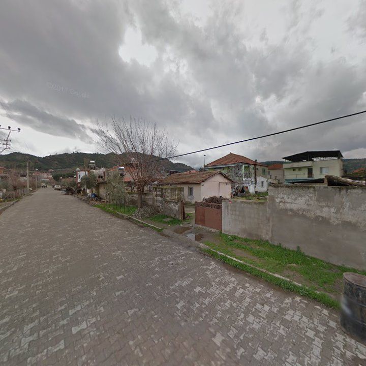 Fotoğraf 10