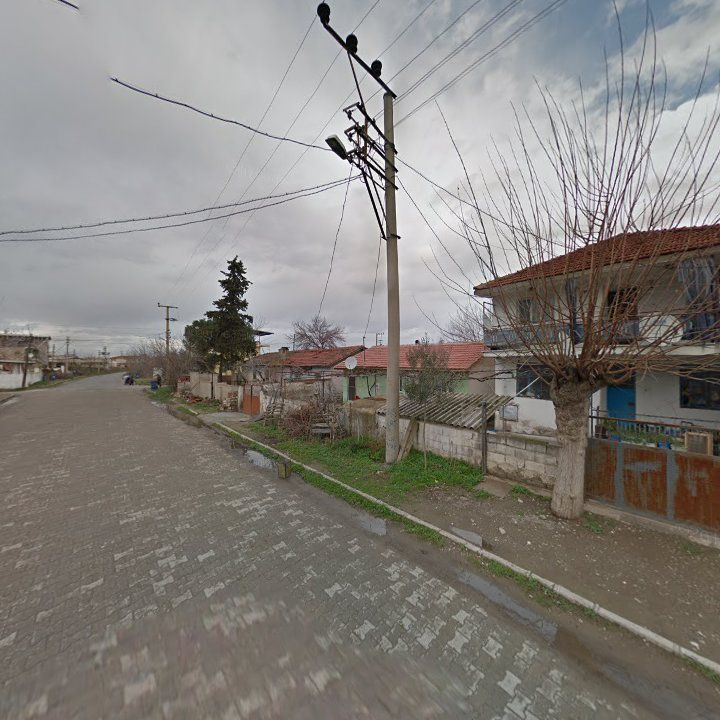 Fotoğraf 8
