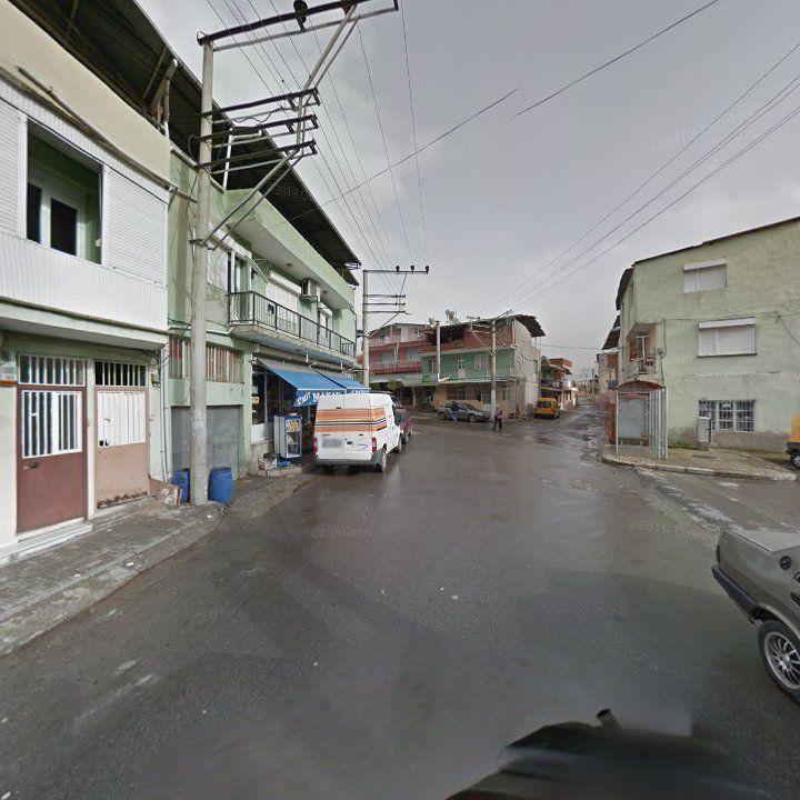 Fotoğraf 12