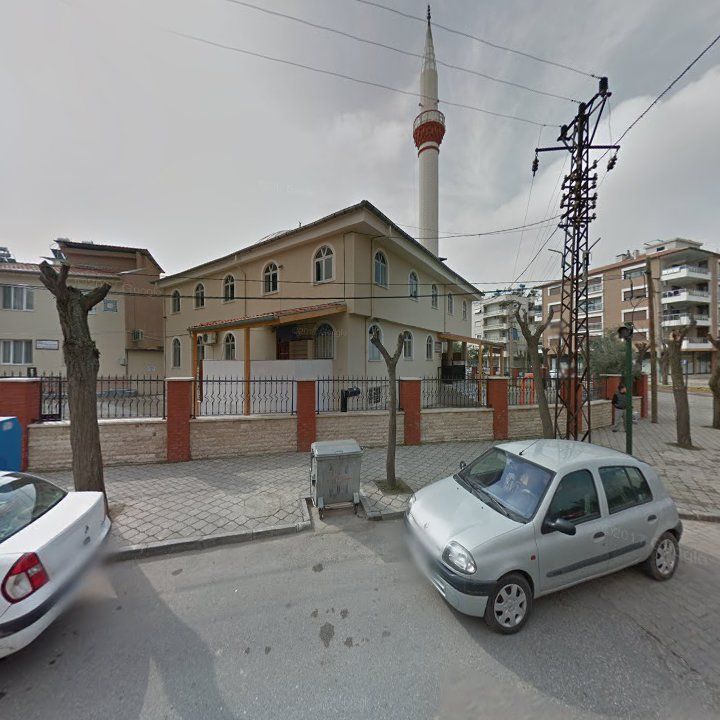 Fotoğraf 8