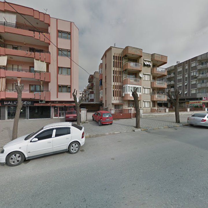 Fotoğraf 10