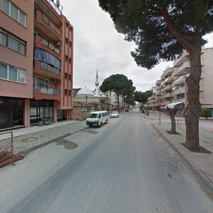 Fotoğraf 6