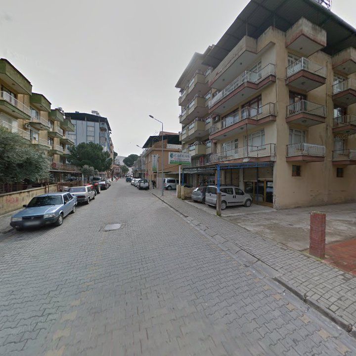 Fotoğraf 11
