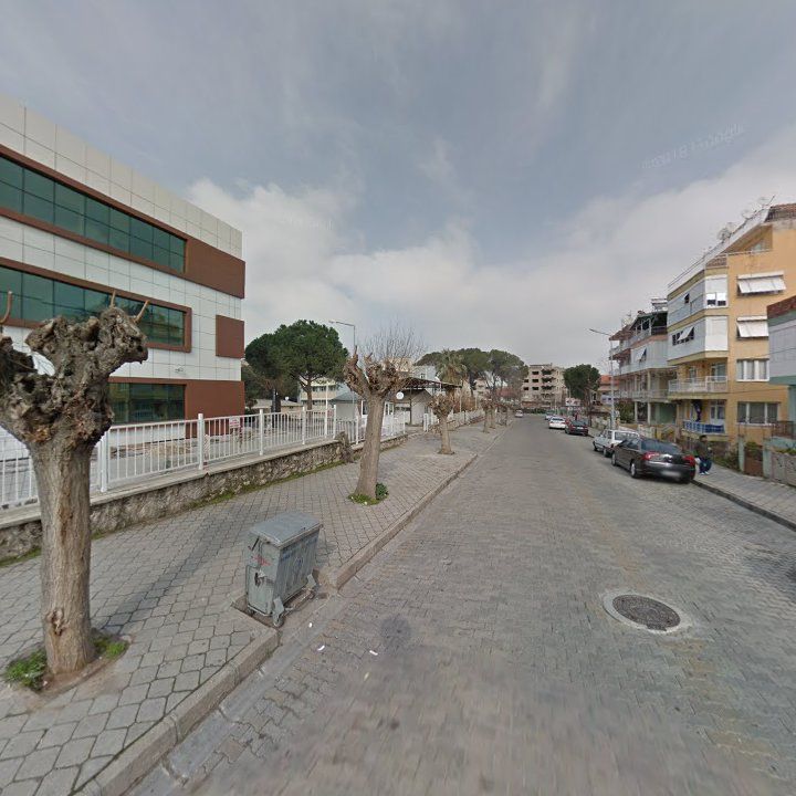 Fotoğraf 7