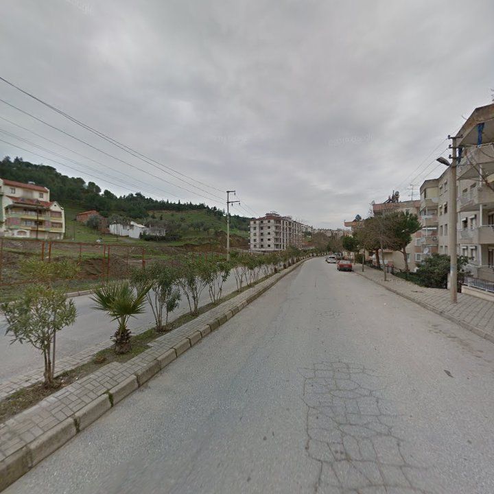 Fotoğraf 8