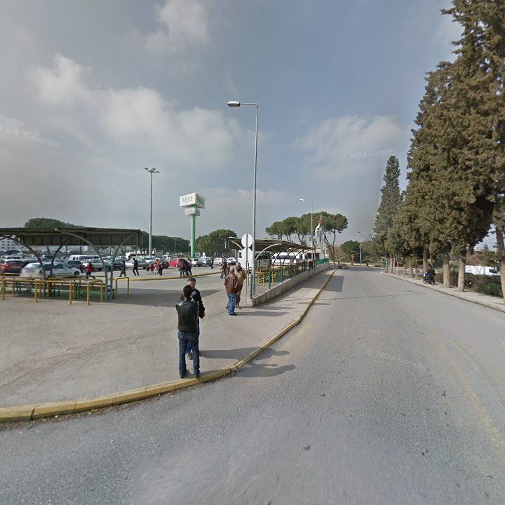 Fotoğraf 11