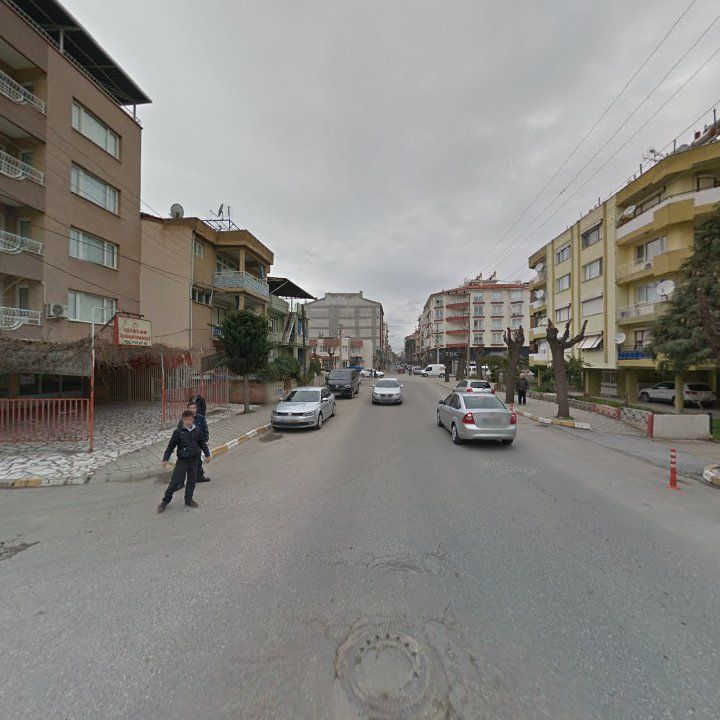Fotoğraf 7