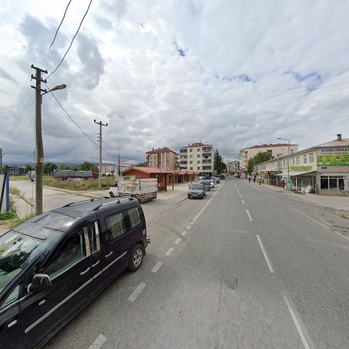 Fotoğraf 11