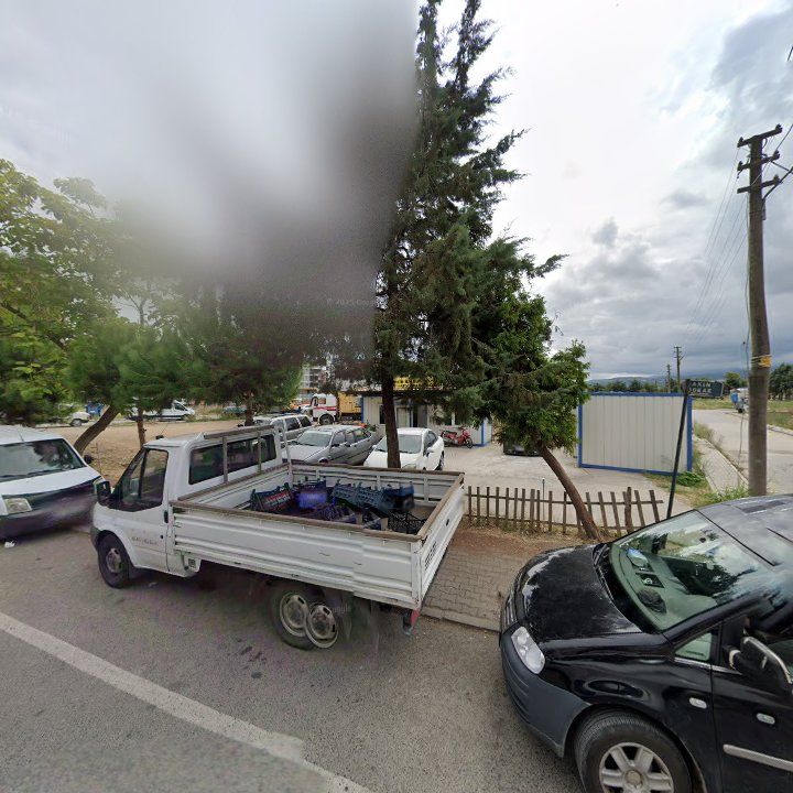 Fotoğraf 10