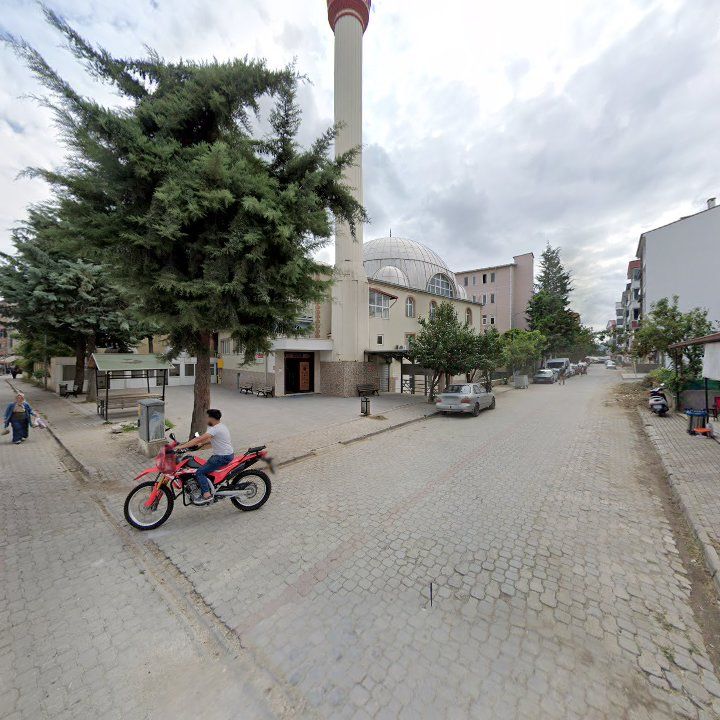 Fotoğraf 4