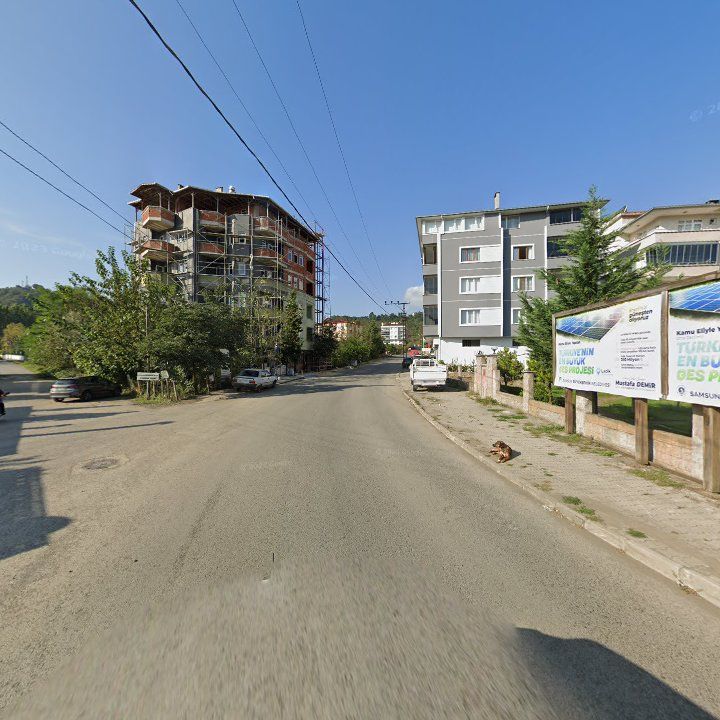 Fotoğraf 6