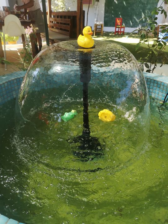 Yorum fotoğrafı 4