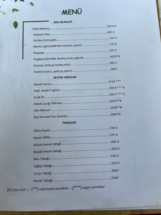 Salkım söğüt alacatı