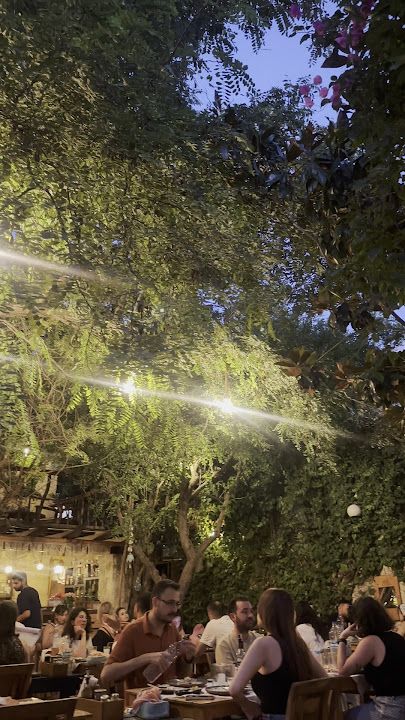 Fotoğraf 28