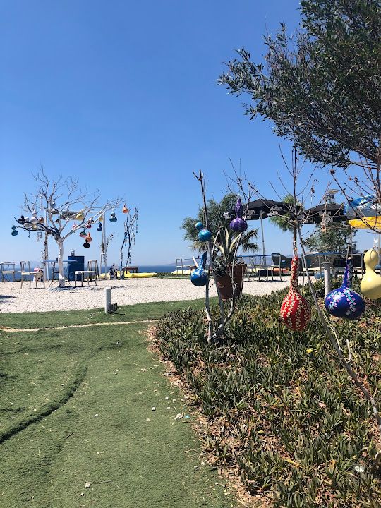 Fotoğraf 45