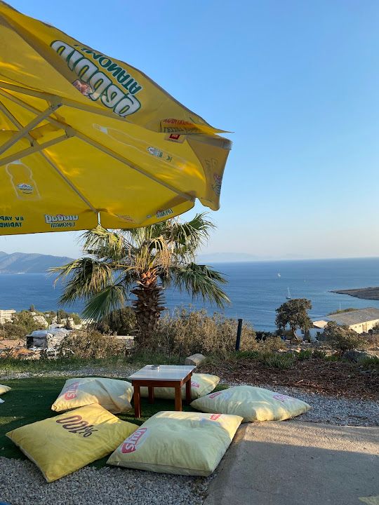 Fotoğraf 21