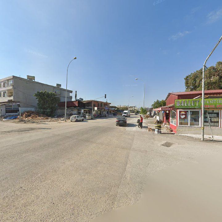 Fotoğraf 3