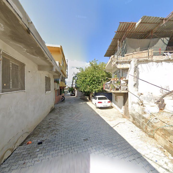 Fotoğraf 5