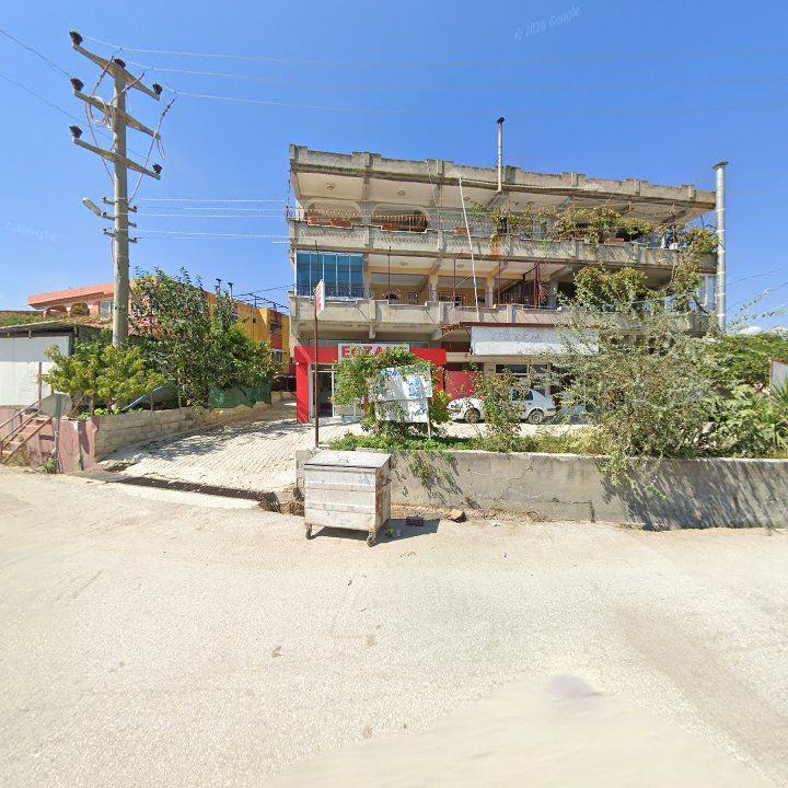 Fotoğraf 3