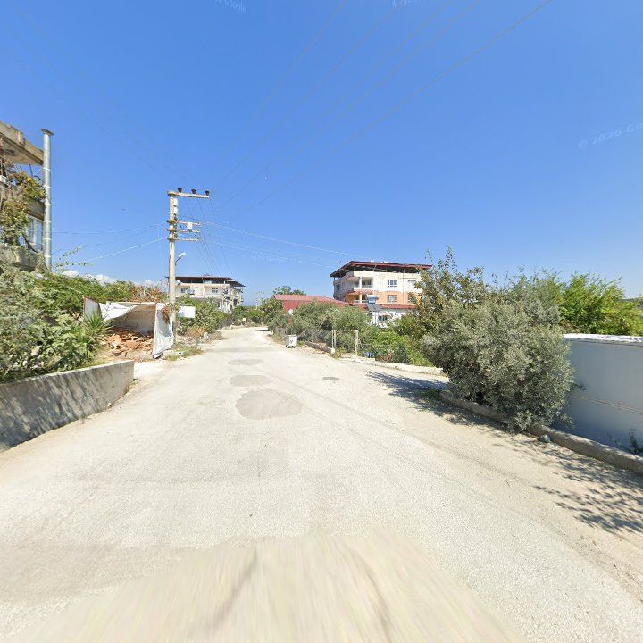 Fotoğraf 4