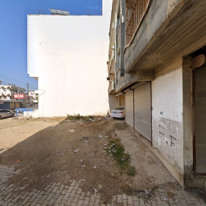 Fotoğraf 4