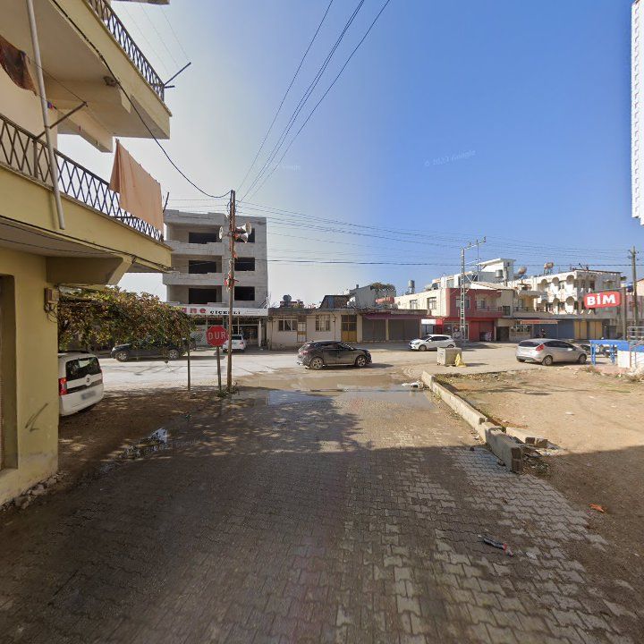 Fotoğraf 3