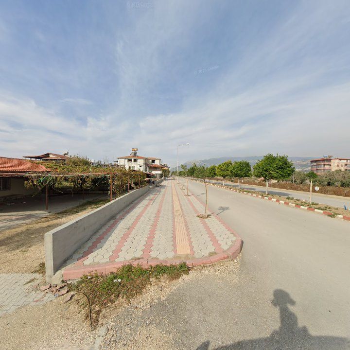 Fotoğraf 5