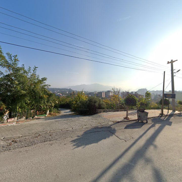 Fotoğraf 5