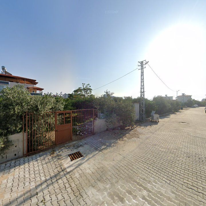 Fotoğraf 5