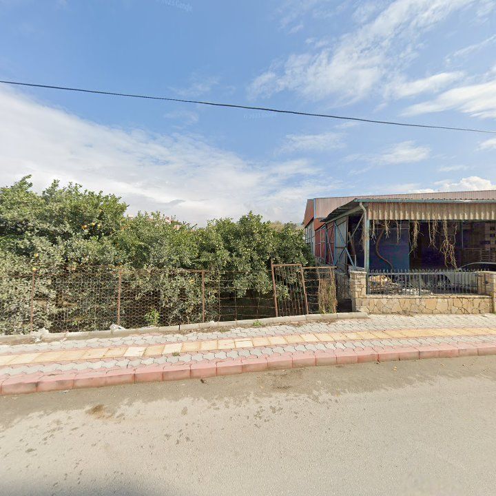 Fotoğraf 2