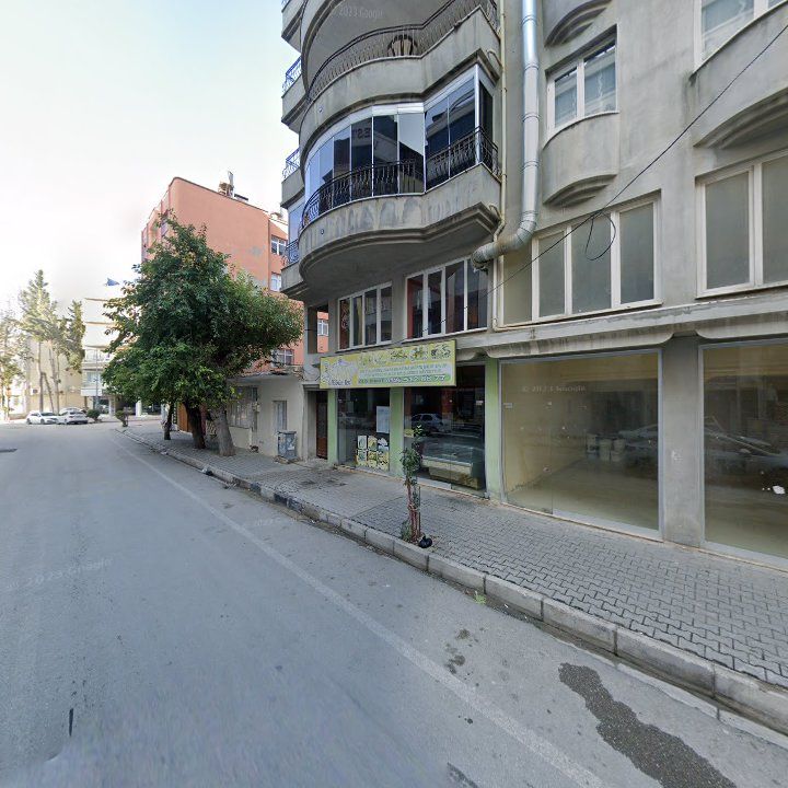 Fotoğraf 3