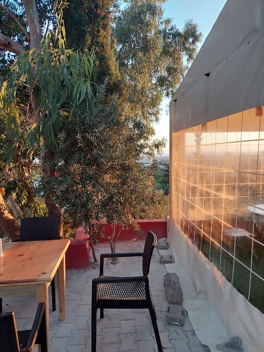 Most Natural Cafe