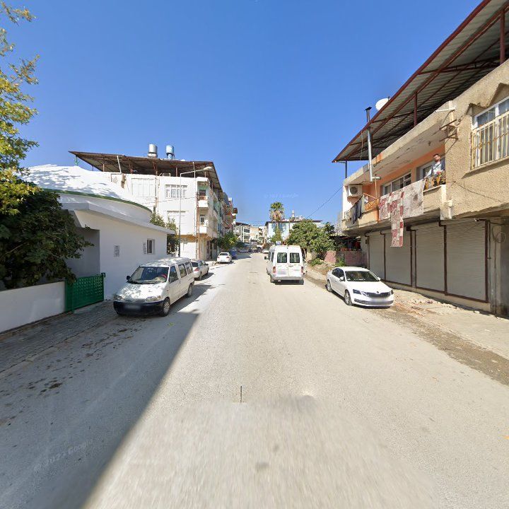 Fotoğraf 3