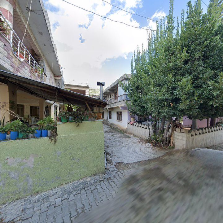 Fotoğraf 4