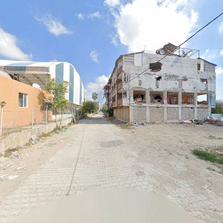Fotoğraf 4