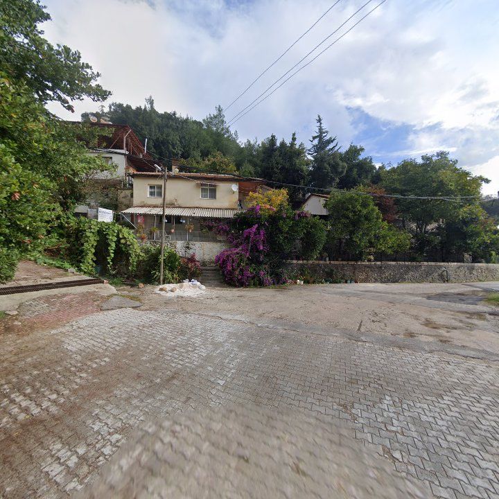 Fotoğraf 2