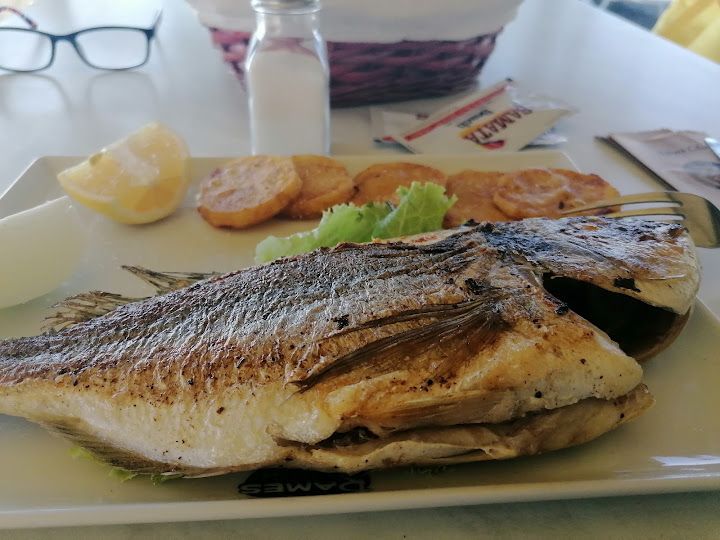 Fotoğraf 35