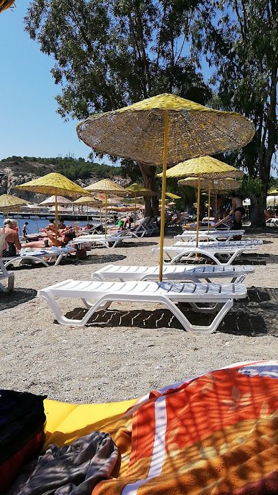 Fotoğraf 45
