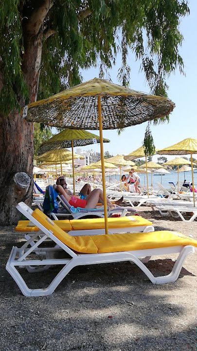 Fotoğraf 46