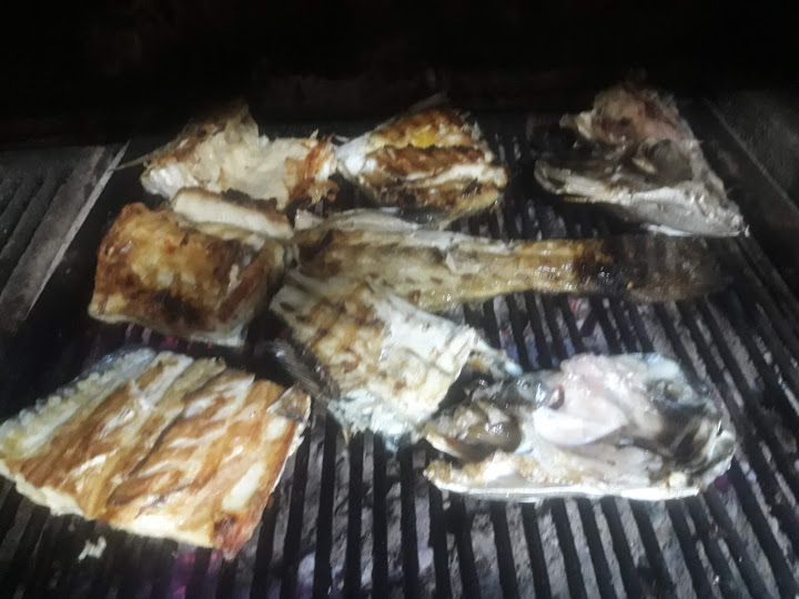 Fotoğraf 16
