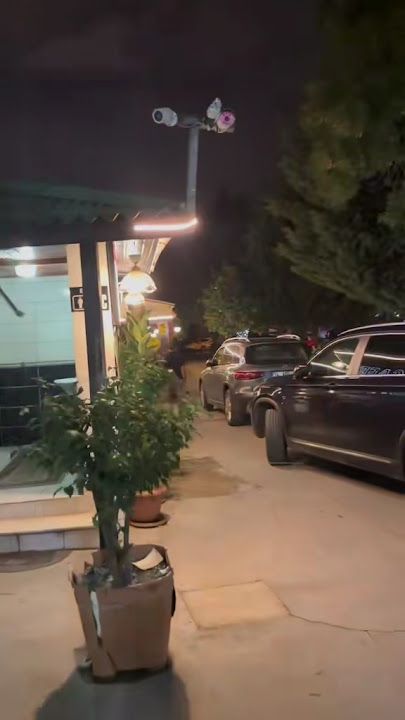 Fotoğraf 19