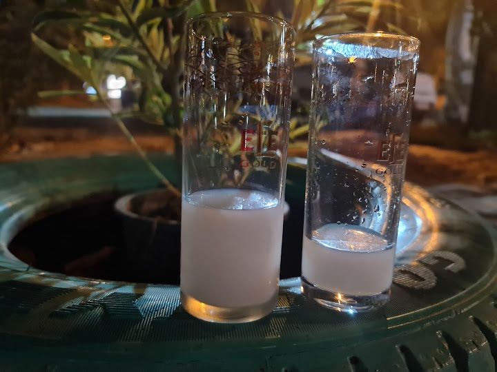 Fotoğraf 13
