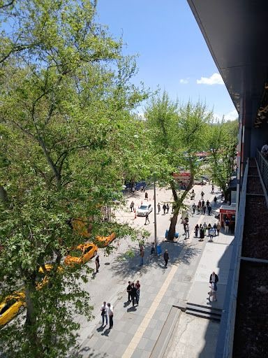 Fotoğraf 23